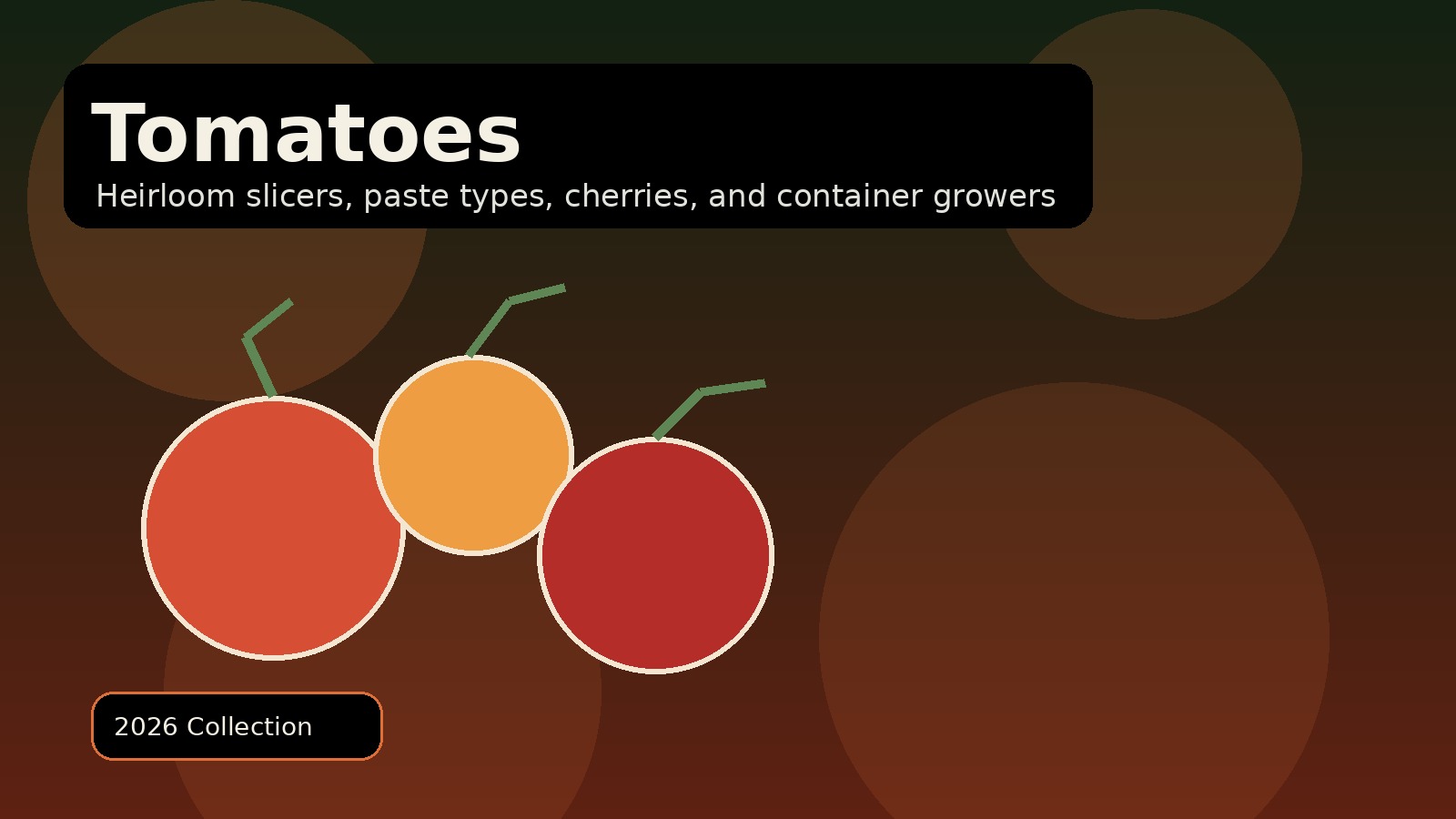 This Season's Tomatoes
