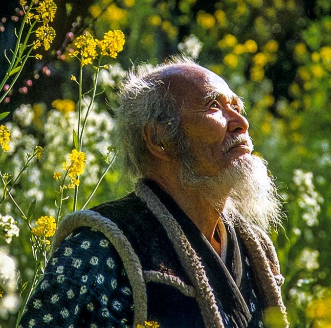 The Rebel Farmer